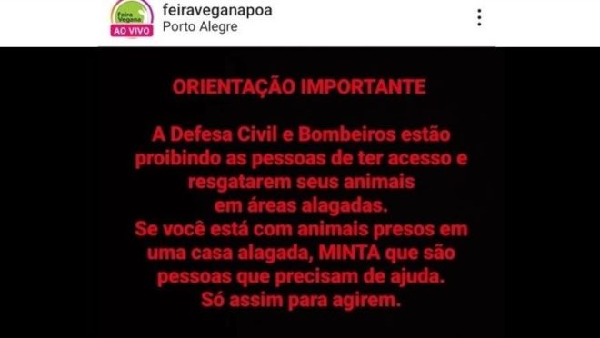 feira-vegana-de-porto-alegre-orienta-mentir-a-defesa-civil-para-salvar-animais