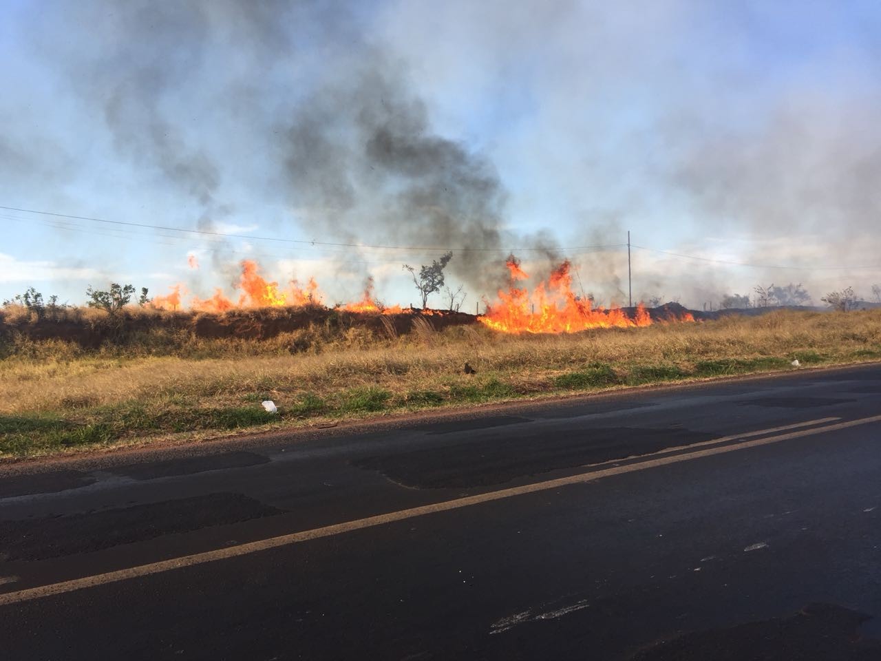 bombeiros-combatem-varios-focos-de-incendio-no-distrito-industrial-em-uberlandia;-veja-video